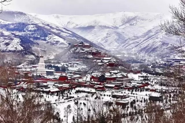 山西天罡赴佛教圣地五台山为您祈福